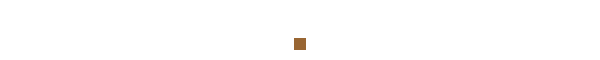 Company Policies